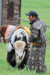 Mongolie 20160721 042422194 