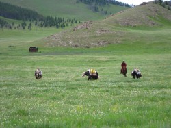 Mongolie 20160721 042841122 