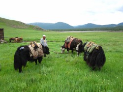 Mongolie 20160721 042859124 