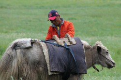 Mongolie 20160721 042903198 