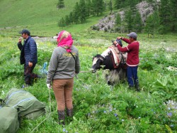 Mongolie 20160721 102041135 