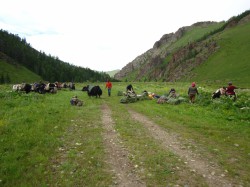 Mongolie 20160721 102124138 