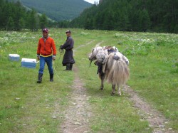 Mongolie 20160721 102620144 