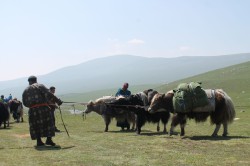 Mongolie 20160723 054558072