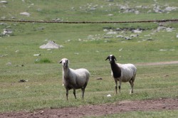 Mongolie 20160723 073456092