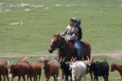 Mongolie 20160723 073529093