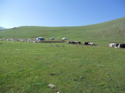 Mongolie 20160724 025735004 