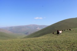 Mongolie 20160724 025855110 