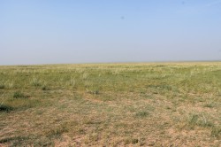 Mongolie 20160724 113638138