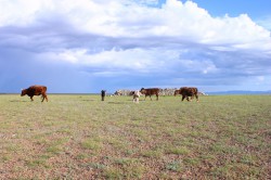 Mongolie 20160725 123723044