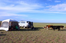 Mongolie 20160725 124458046