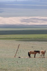 Mongolie 20160726 082912077