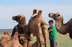 Mongolie 20160727 025852303