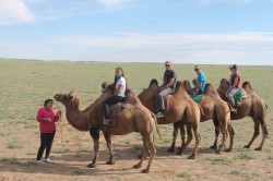 Mongolie 20160727 031445341