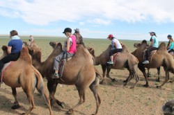 Mongolie 20160727 034951351