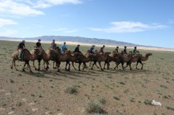 Mongolie 20160727 040530075