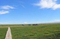 Mongolie 20160727 054125384