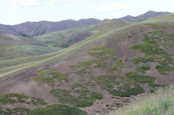 Mongolie 20160728 130237114