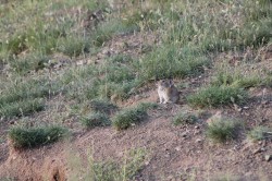 Mongolie 20160728 131702124