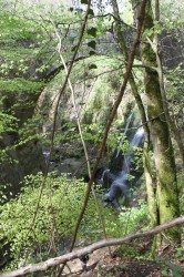 Pont Covet_20140426_135559