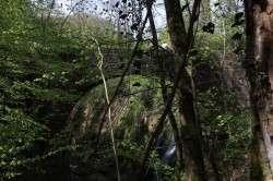 Pont Covet_20140426_135731