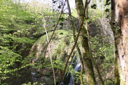 Pont Covet_20140426_135749