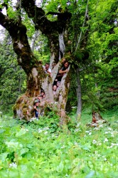 Excursion_Chasseral_cadets__20110611_105629