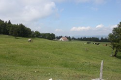 Camp cadettes jura 2011_20110604_103045