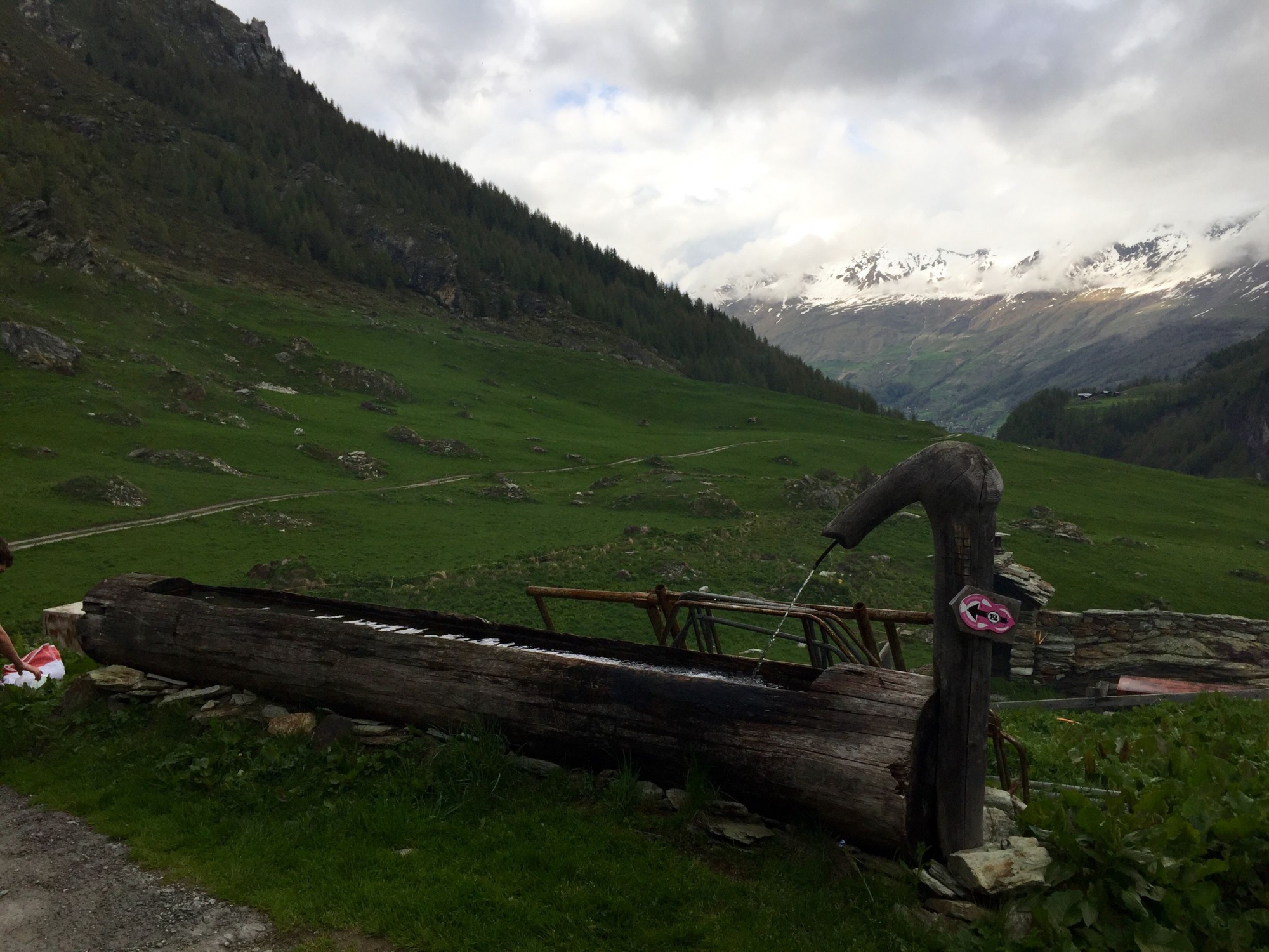Camp Eclaireurs 20160604 185758042