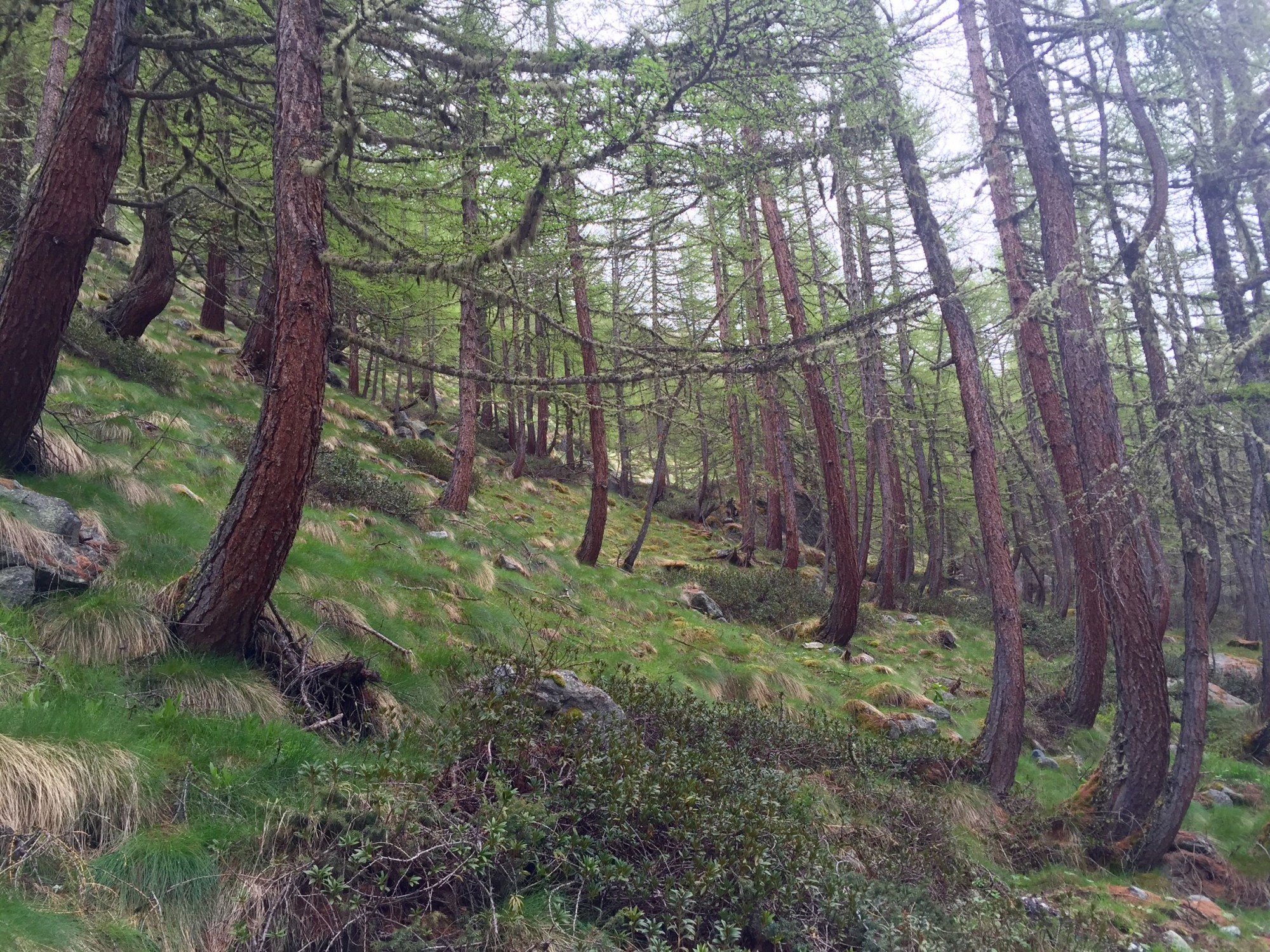 Camp Eclaireurs 20160605 100312052