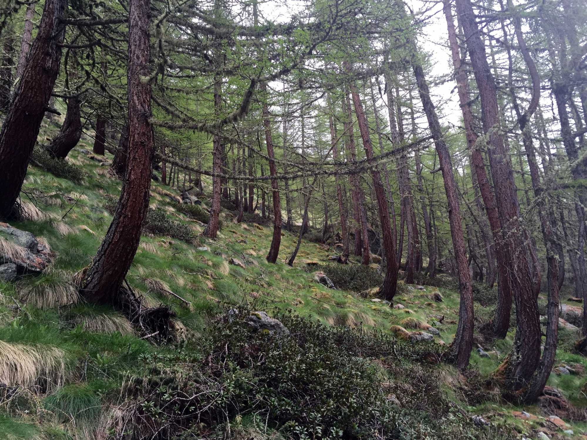 Camp Eclaireurs 20160605 100312053