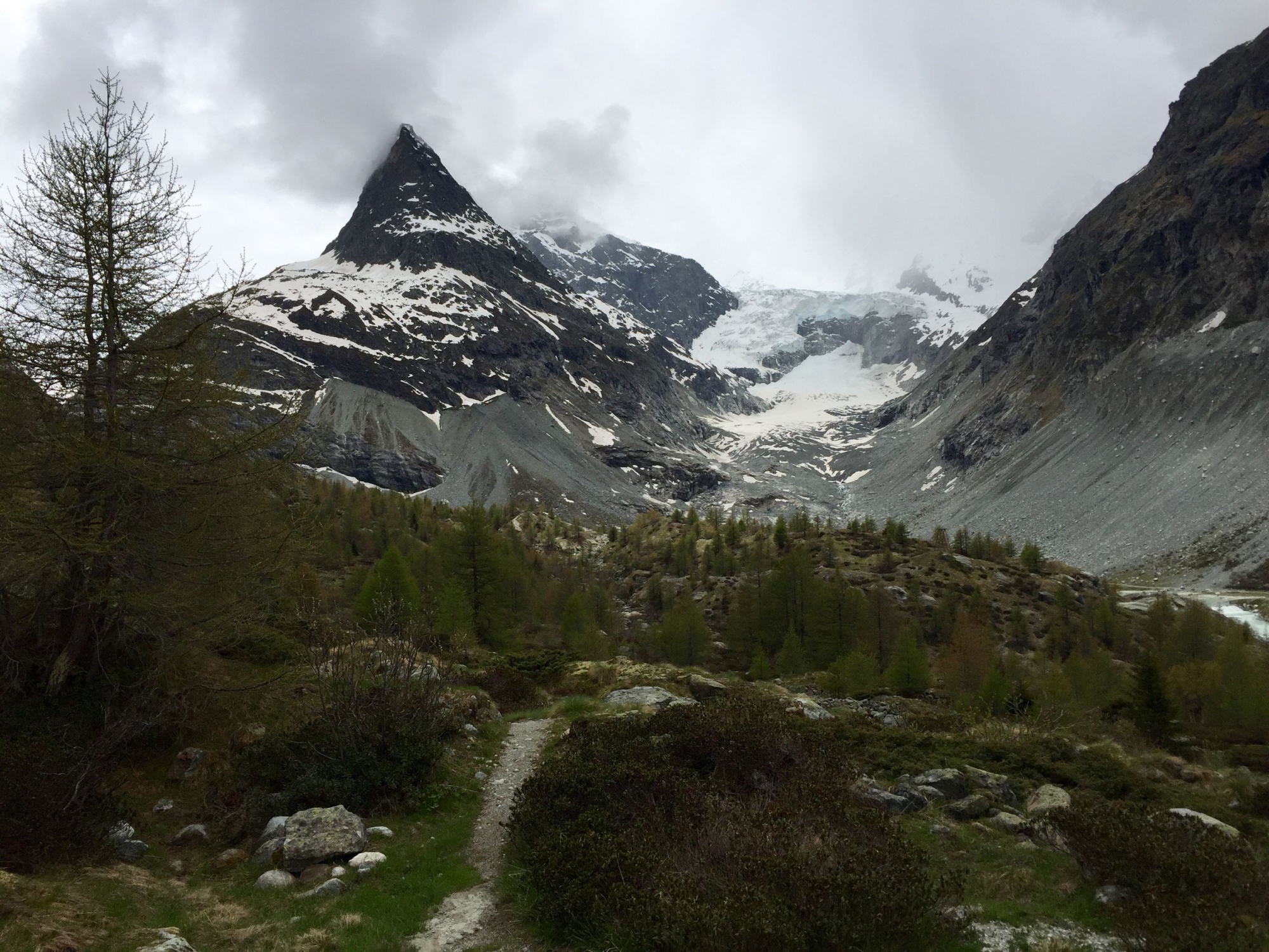 Camp Eclaireurs 20160605 132658066