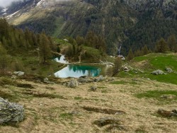 Camp Eclaireurs 20160604 150914041