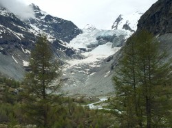 Camp Eclaireurs 20160605 102653058