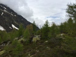 Camp Eclaireurs 20160605 102759059
