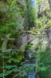 Scouts_camp20140132