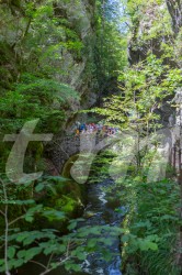 Scouts_camp20140133
