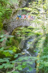 Scouts_camp20140135