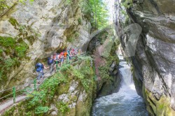 Scouts_camp20140139