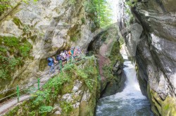 Scouts_camp20140140