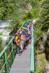 Scouts_camp20140150