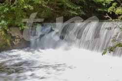Scouts_camp20140153