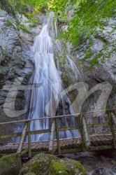 Scouts_camp20140178