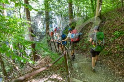 Scouts_camp20140182