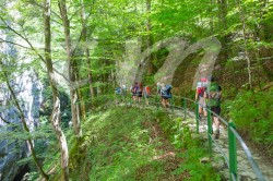 Scouts_camp20140183