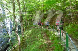Scouts_camp20140184