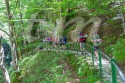 Scouts_camp20140185