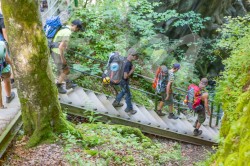 Scouts_camp20140186