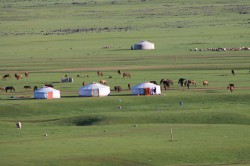 Mongolie 20160719 004750440 