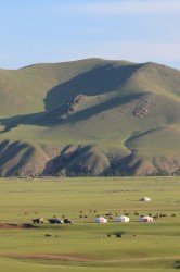 Mongolie 20160719 004935445 
